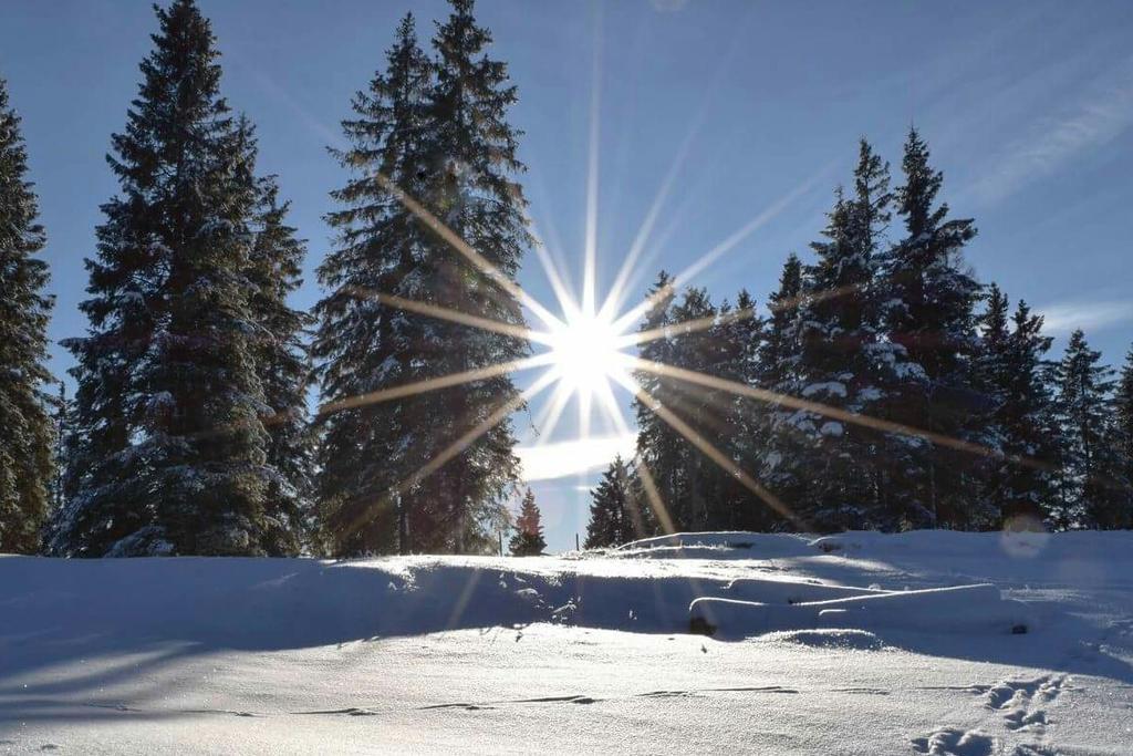Caminetto Mountain Hotel Lavarone
